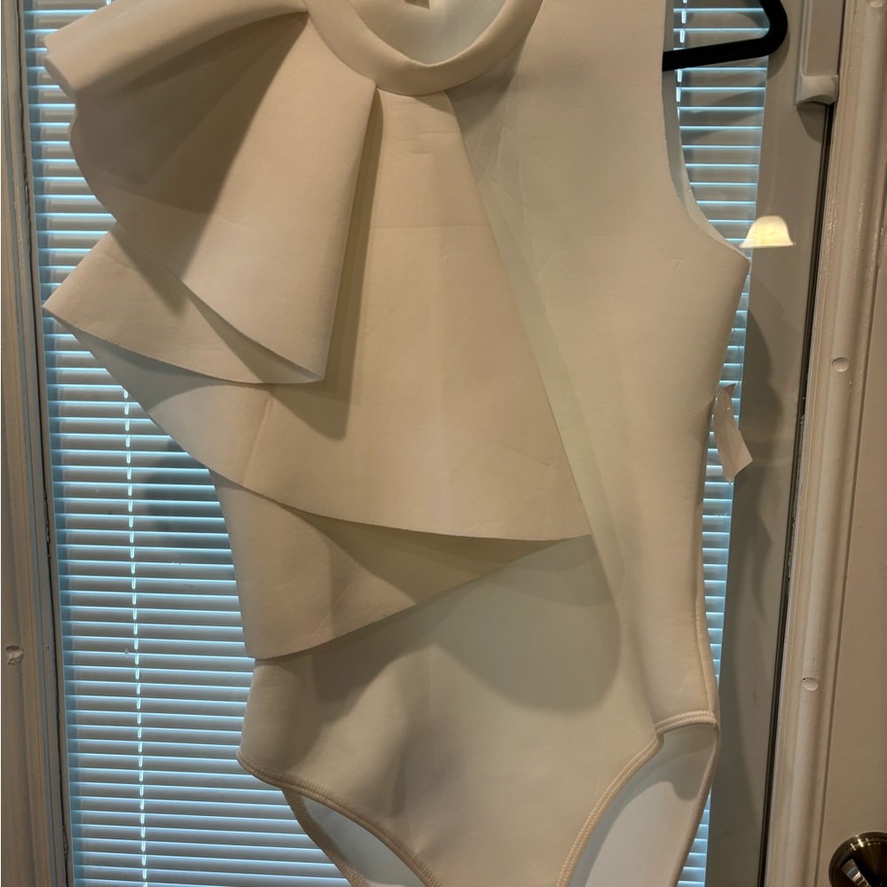 Bodysuit - Picture 5 of 5